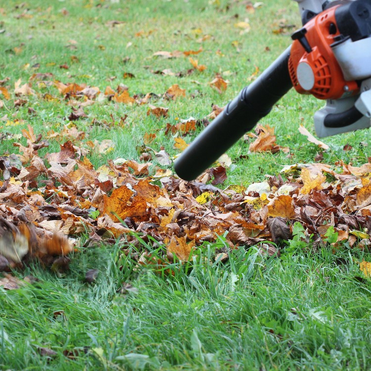 Lawn care services in Albertville, AL