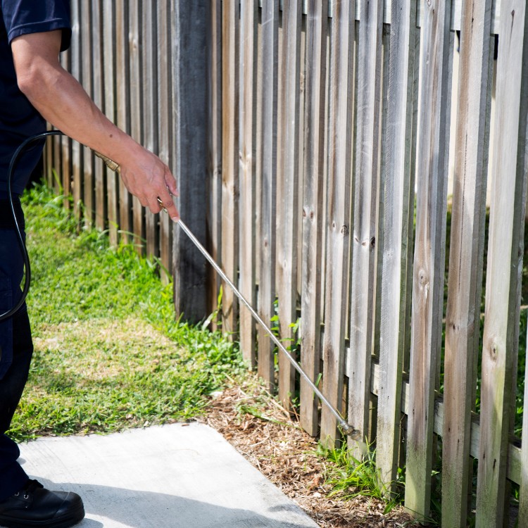Lawn care services in Albertville, AL