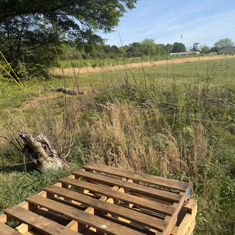 Lawn care services in Albertville, AL