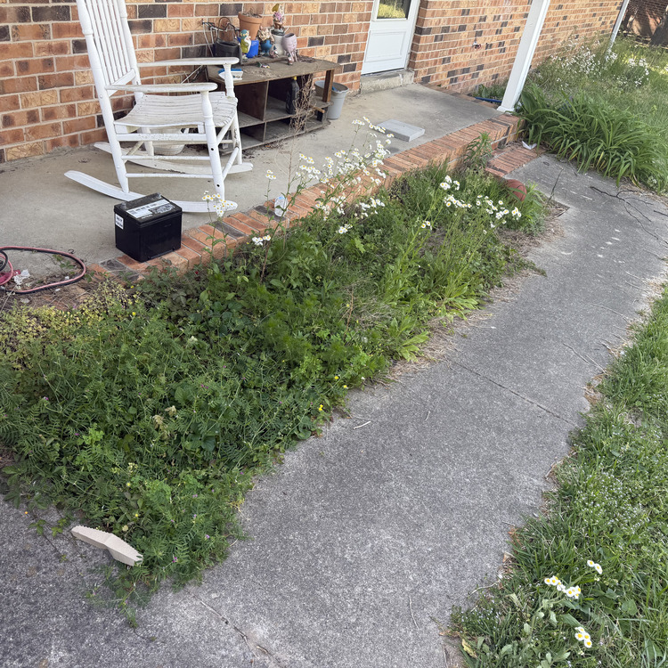Lawn care services in Albertville, AL