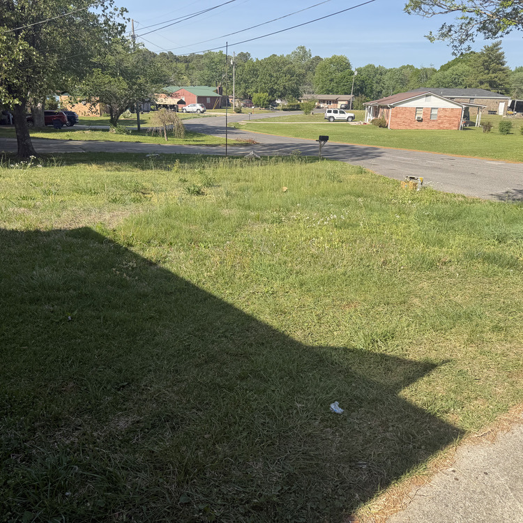 Lawn care services in Albertville, AL