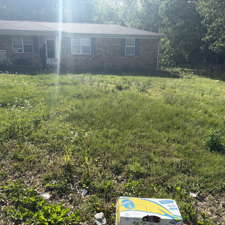 Lawn care services in Albertville, AL